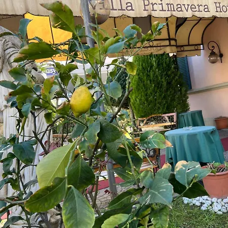 Primavera 2* Pisa