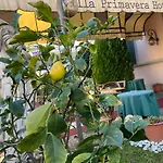 Primavera 2* פיזה