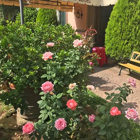 Primavera فندق