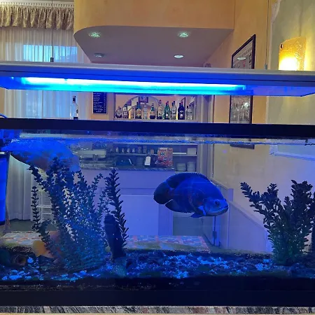 Hotel Primavera